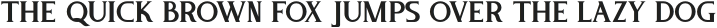 Pure Tintri SERIF otf (400)