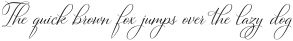 Bettrisia Script Regular otf (400)