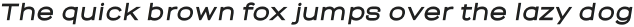 Novelin Black Italic otf (900)