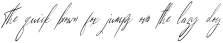 Sunlight SuperItalic otf (300)