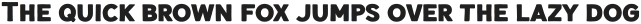 Nauticus Sans otf (700)