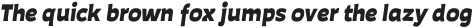 Auster Rounded Heavy Italic otf (800)
