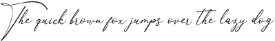 Anthoni Signature preview