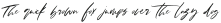 Halcyon Brush otf (400)