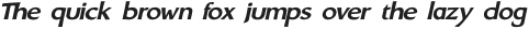 Arturo Book Bold Italic otf (400)