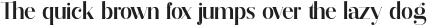 Vectory Nedium otf (500)
