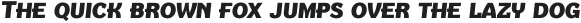 Texicali Alt S Heavy Italic otf (800)