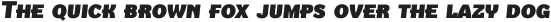 Texicali Alt SC Black Italic otf (900)