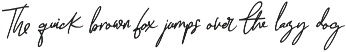 Darling Suttine | Signature Font preview