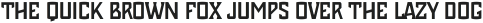 Chosla Sans Light otf (300)