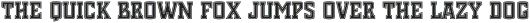 Chosla Serif Sportline otf (400)