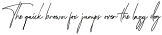 Katherine Script Regular otf (400)