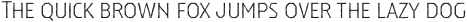 Dever Serif Print Light otf (300)