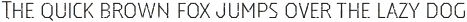 Dever Serif Rough Light otf (300)