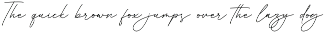 Consultant Signature Pen Font preview