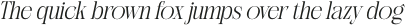 Canesa Italic otf (400)