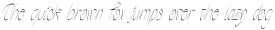 Wayfarer Display Italic otf (400)