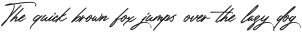 Amsterday Signature otf (400)