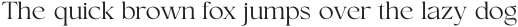 Conso Serif Light otf (300)
