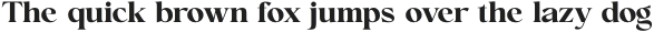 Conso Serif Bold otf (700)