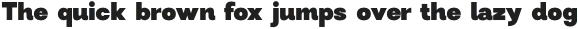Modern Sans Black otf (900)