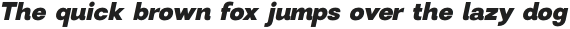 Modern Sans ExtraBold Oblique otf (700)