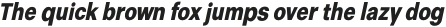 RD Sans Condensed Extra Bold Italic otf (700)