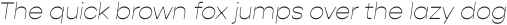 Gopher Thin Italic otf (100)