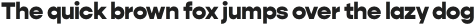 Gopher Text Black otf (900)