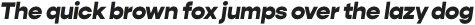 Gopher Text Black Italic otf (900)