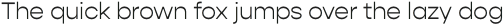 Gopher Text Light otf (300)