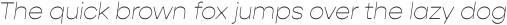 Gopher Text Thin Italic otf (100)