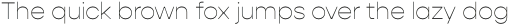Gopher Text Thin otf (100)