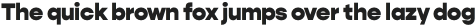 Gopher Text Heavy otf (800)