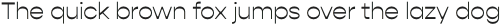 Gopher Display Light otf (300)