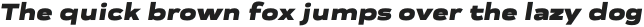 Praktika Black Ext Italic otf (900)