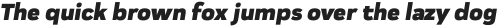Praktika Black Italic otf (900)