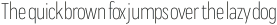 Praktika Light Condensed otf (300)