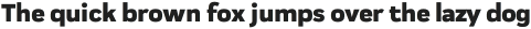 Praktika ExtraBold otf (700)