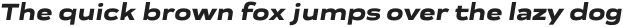Praktika ExtraBold Ext Italic otf (700)