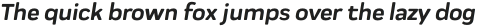 Praktika Rnd Bold Italic otf (700)