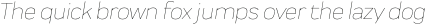 Praktika Rnd ExtraLight Italic otf (200)
