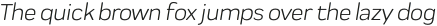 Praktika Rnd Regular Italic otf (400)