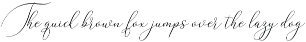 Argentina Script preview