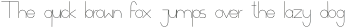 Vector Thin otf (100)