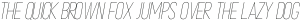 METAFORA Thin Oblique otf (100)