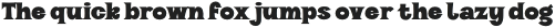 VVDS_Halau_Serif Bold otf (700)