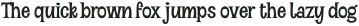 VVDS_Halau_Serif Thin otf (100)