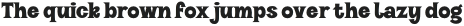 VVDS_Halau_Serif Medium otf (500)