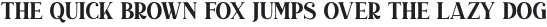 Duarose Serif otf (400)